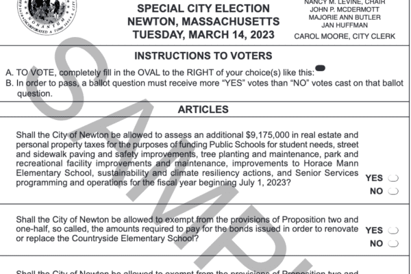 Get Out and Vote: What you need to know