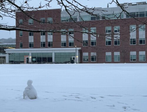 The kids are on vacation all next week, so here’s big list of activities for them