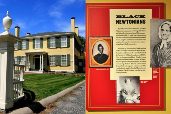 newton black history month resources