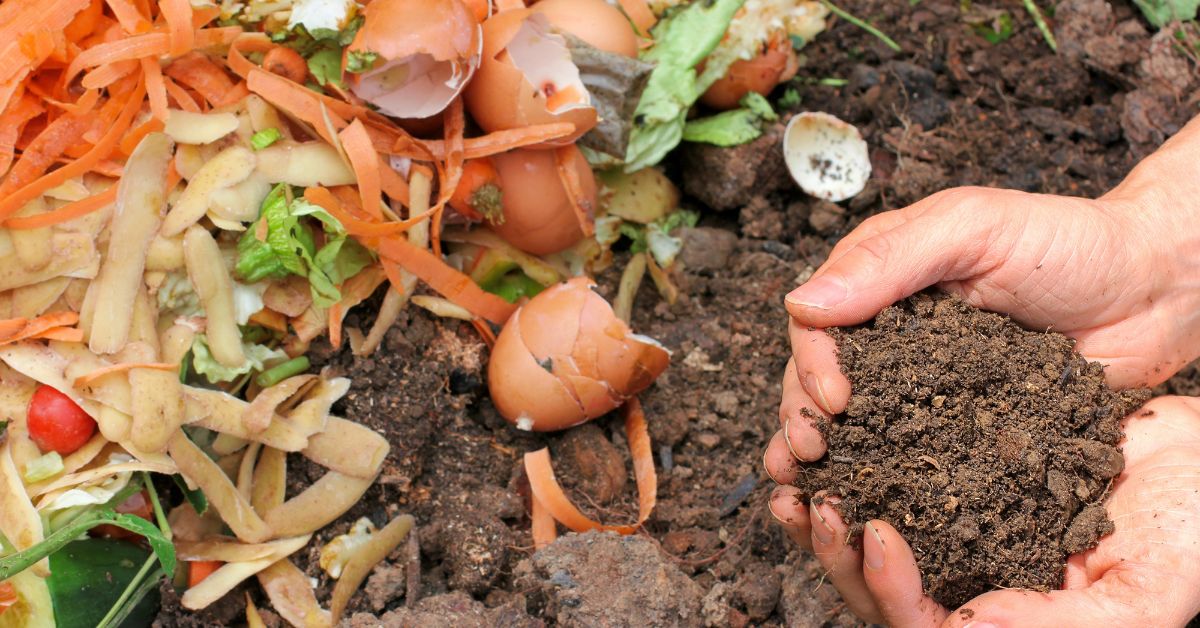 compost and soil
