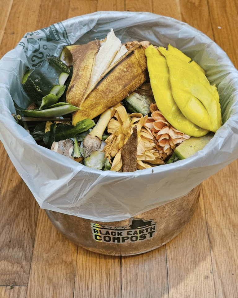 With landfills closing, composting could significantly reduce waste