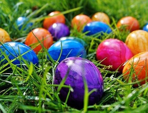 Five Things to do in Newton this Long Weekend