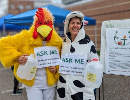 Earth Day Festival coming to Newton North Sunday
