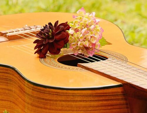 Seven things to do in Newton this weekend