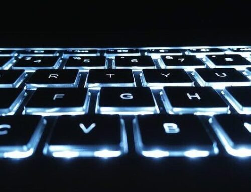The Bulletin: Scams, robots and a bakery bonanza