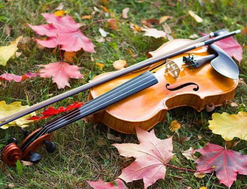 Seven things to do in Newton this weekend