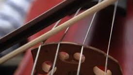 Violin