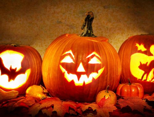 Six things to do in Newton this weekend