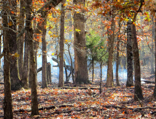 Dry Spell: Drought puts Newton at risk for wildfires