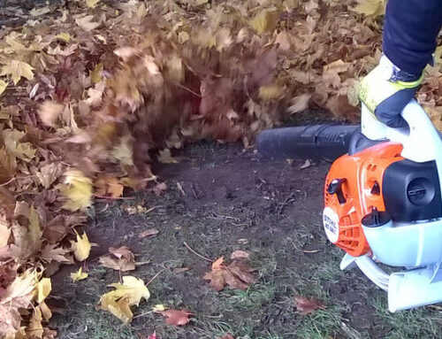 Letter to the Editor: Leaf blower noise has become a problem