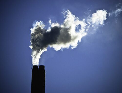 Why Newton can’t reach its 2050 carbon neutrality goal if residents don’t get involved