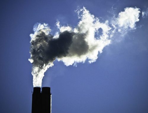 BERDO to include fund to help decarbonize citywide