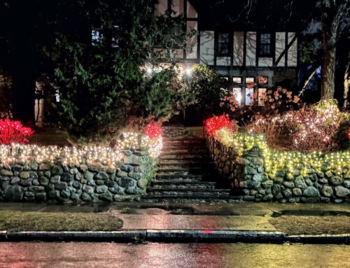 Heading out to admire holiday light displays? Community Kangaroo has a map for you