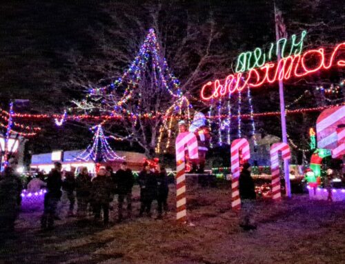 Let There be Lights: Nonantum kicks off holiday season with dazzling display