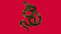 Chinese Snake