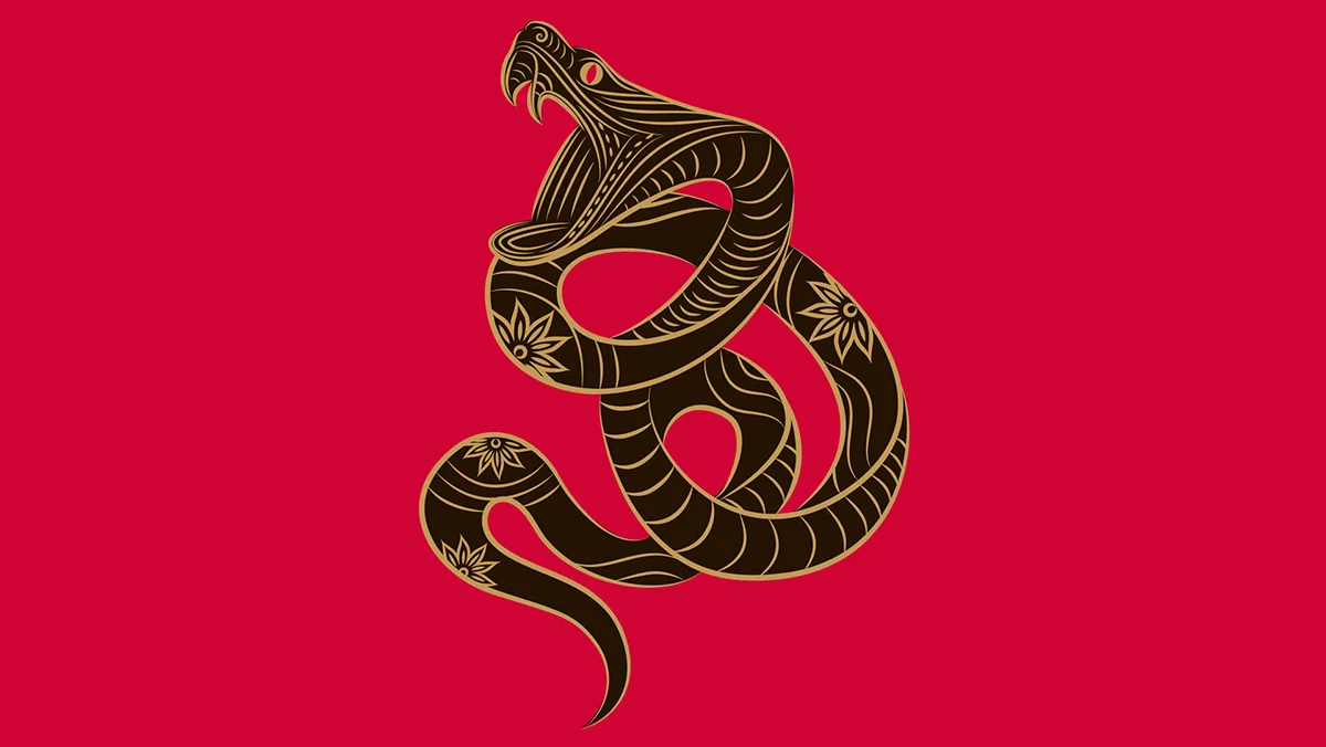 Chinese Snake Chinese Snake