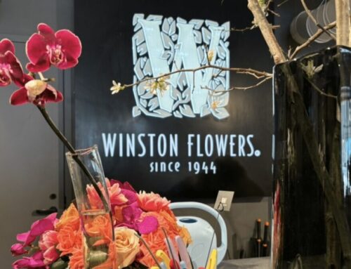 Chestnut Hill’s Winston Flowers blooms in new location