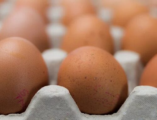 Not Yolking Around: Egg shortages and price hikes not going over easy for Newton restaurants