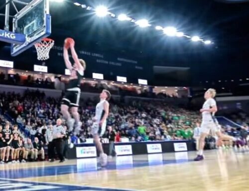 Tigers fall to Panthers in beastly MIAA championships
