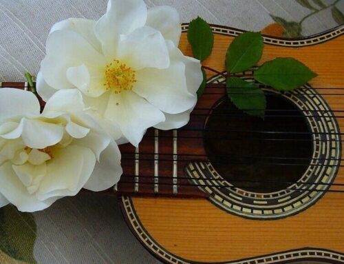 Spring will be blooming with fun cultural events in Newton