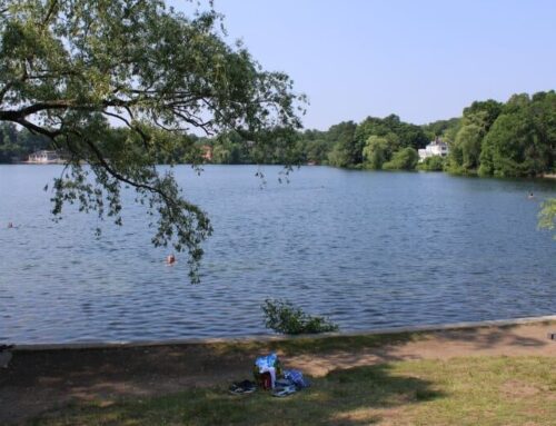 City plans improvements to Crystal Lake after erosion damage