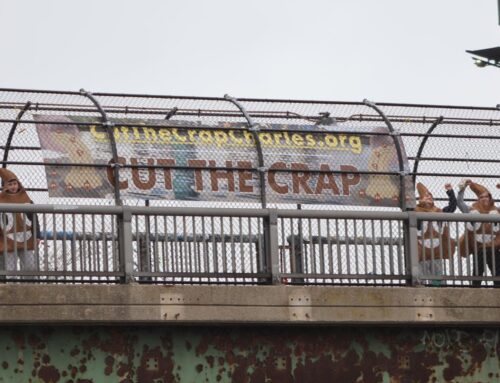 Charles River Watershed Association launches ‘Cut the Crap’ campaign to address sewage overflow