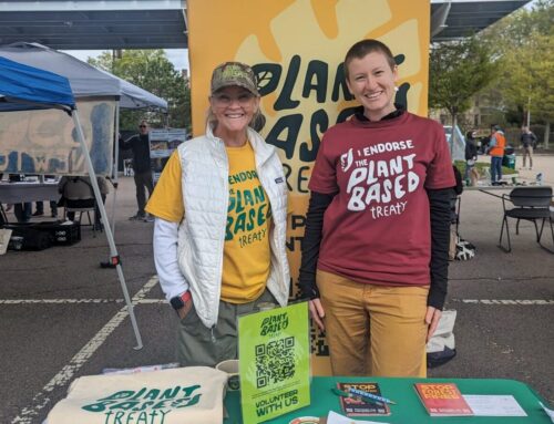 Snapshots: Green Newton Earth Day Festival 2025