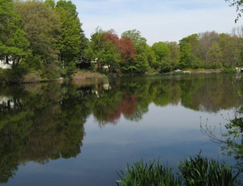 Newton engineers work to repair Bullough’s Pond Dam, citing flooding risk