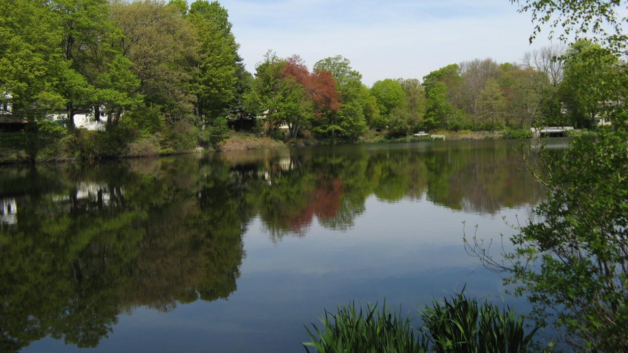 BulloughsPond