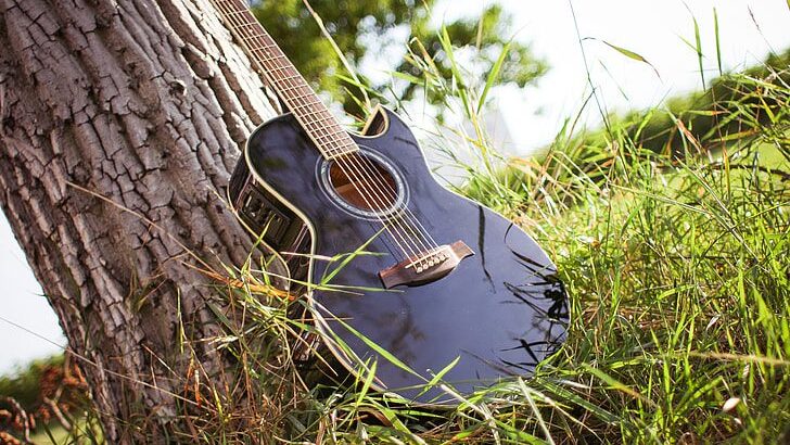 GuitarandTree
