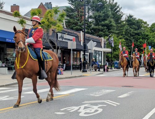 12 things to do in Newton this weekend