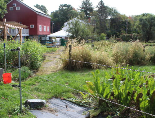 Forum spotlights vital role local farms play in uncertain times