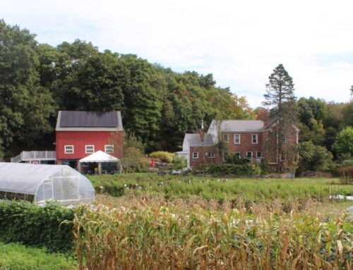 Forum spotlights vital role local farms play in uncertain times