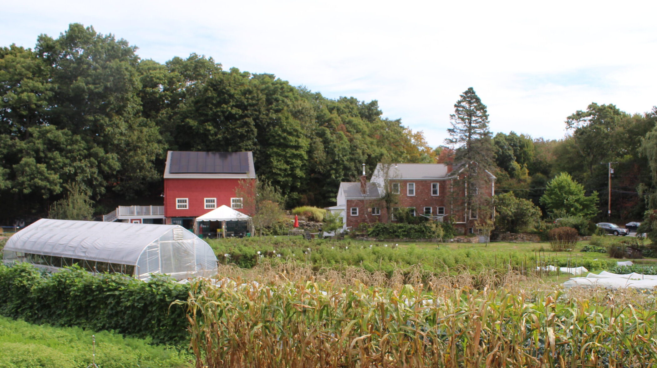NewtonCommunityFarm2