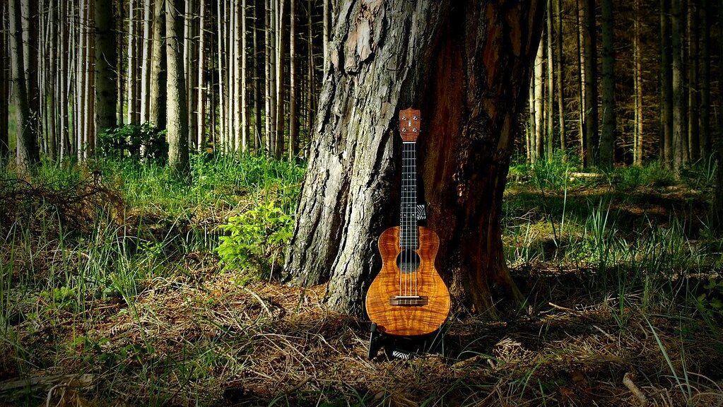 ukulele2