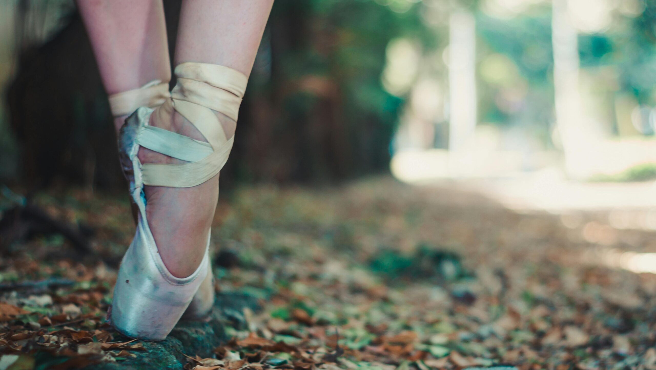 balletslippers