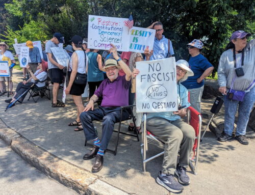 Snapshots: A week of protests