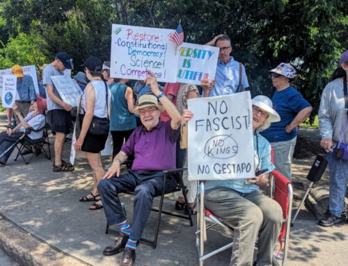 Snapshots: A week of protests
