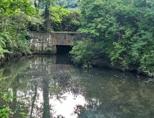Bulloughs Pond still awaits decision from city