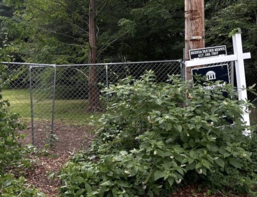 Developer’s plan to extend drainage into her lots has neighbors up in arms