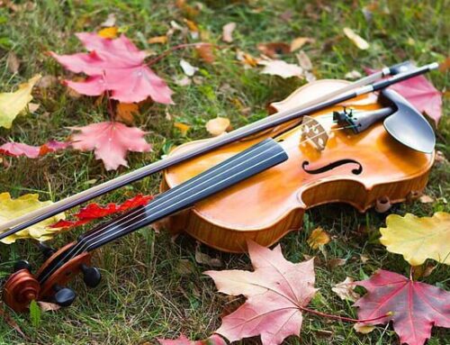 Newton Community Pride’s Fall Village Concert series coming in September