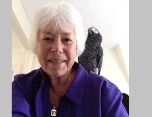 Helen Rittenberg, educator and Bike Newton president emeritus, passes at 88