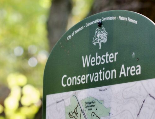 Who owns webster woods? Newton, BC, and the state all say ‘we do’