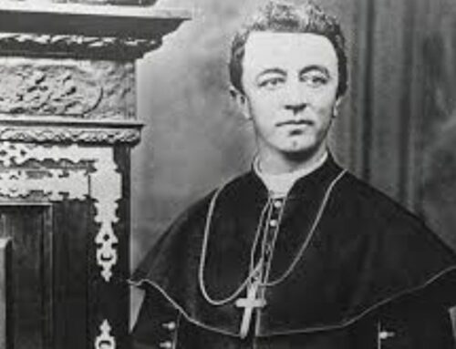 Born into slavery, the Healy family found new life in Newton and Maine