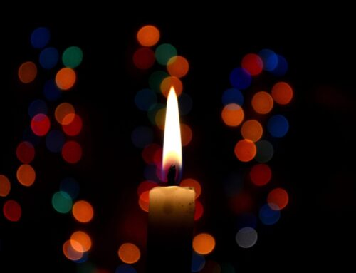 Five things to do in Newton this weekend