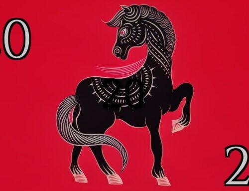 Giddy-Up: Newton is set to harness energy and movement in 2026