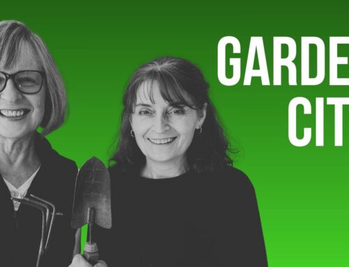 Column: Thinking ahead and reflecting on last year’s garden