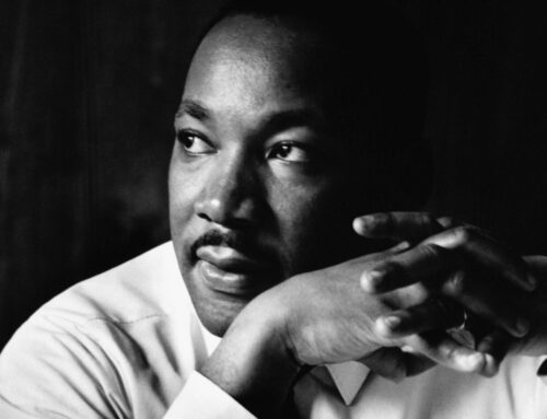 Seven things to do in Newton this long weekend