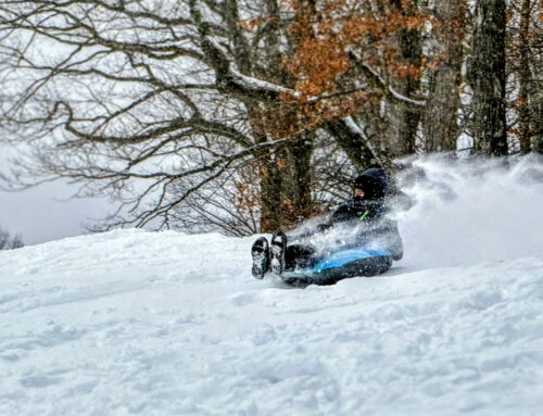 Snow, My! Storm drops more than a foot of snow on Newton