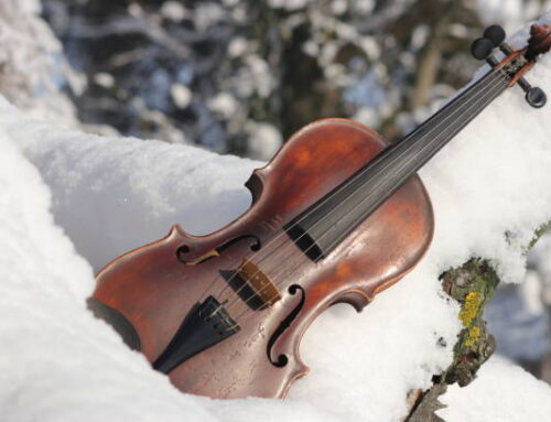 Five things to do in Newton this weekend